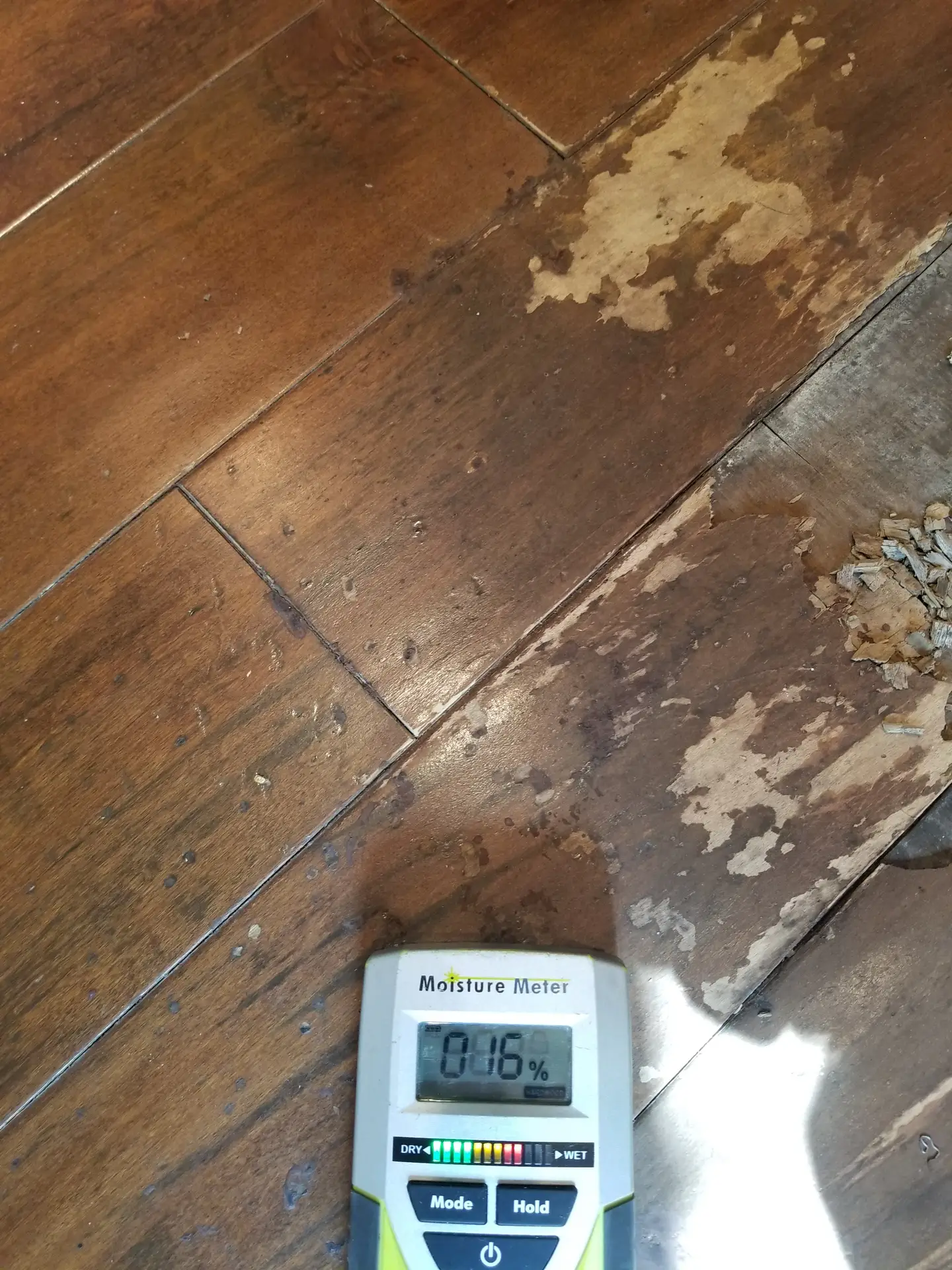 Flooring Repair Project 1