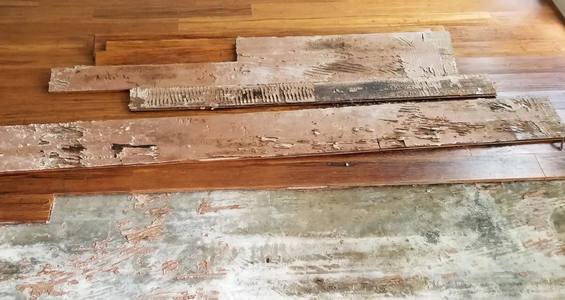 Bamboo flooring pulled up showing moisture damage and the concrete slab below