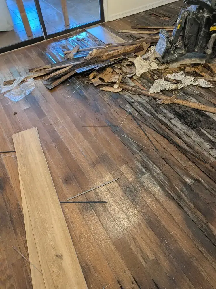 Rotten wood flooring removed from under luxury vinyl plank showing water damage and mold in Jacksonville FL home